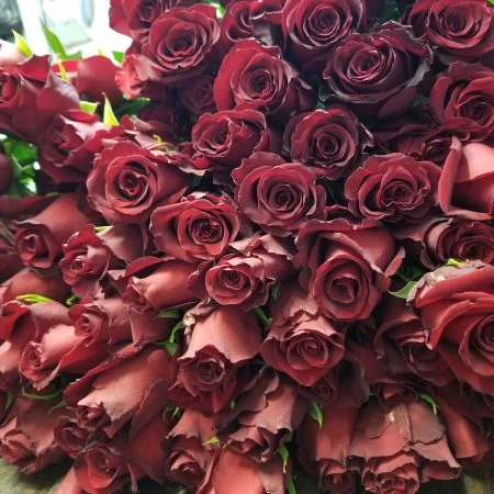 Bouquet de roses rouge à la pièce, par Au fil des pétales, fleuriste à Saint-Geoire-en-Valdaine