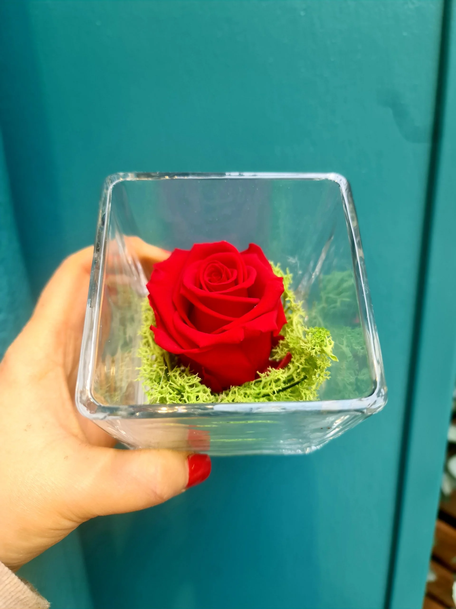 Rose Éternelle, par Le Garden, fleuriste à Avignon