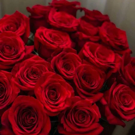 Roses rouges Saint Valentin, par A Fleur d'Eau, fleuriste à Brest