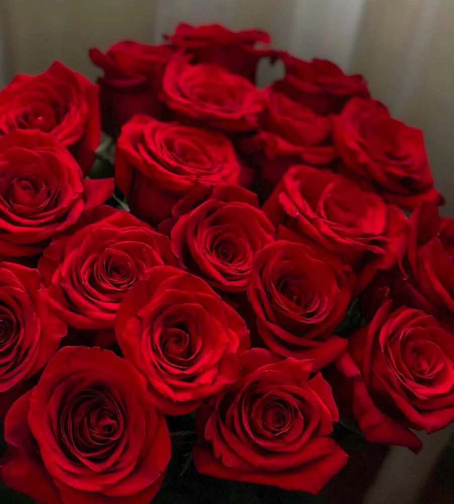 Roses rouges Saint Valentin, par A Fleur d'Eau, fleuriste à Brest