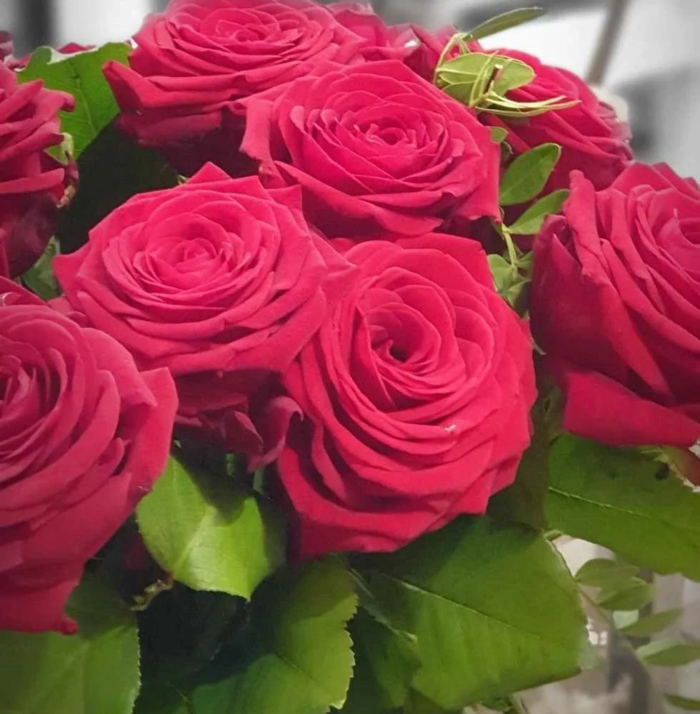 Bouquet de roses rouges, par Fleurs Baccara, fleuriste à Dour