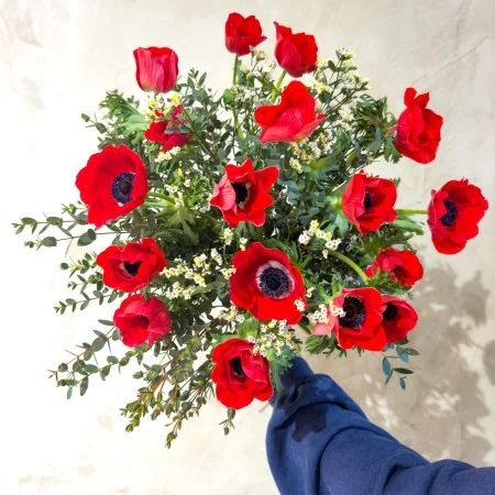 Bouquet d'Anemone, par Canopée Marseille, fleuriste à Marseille