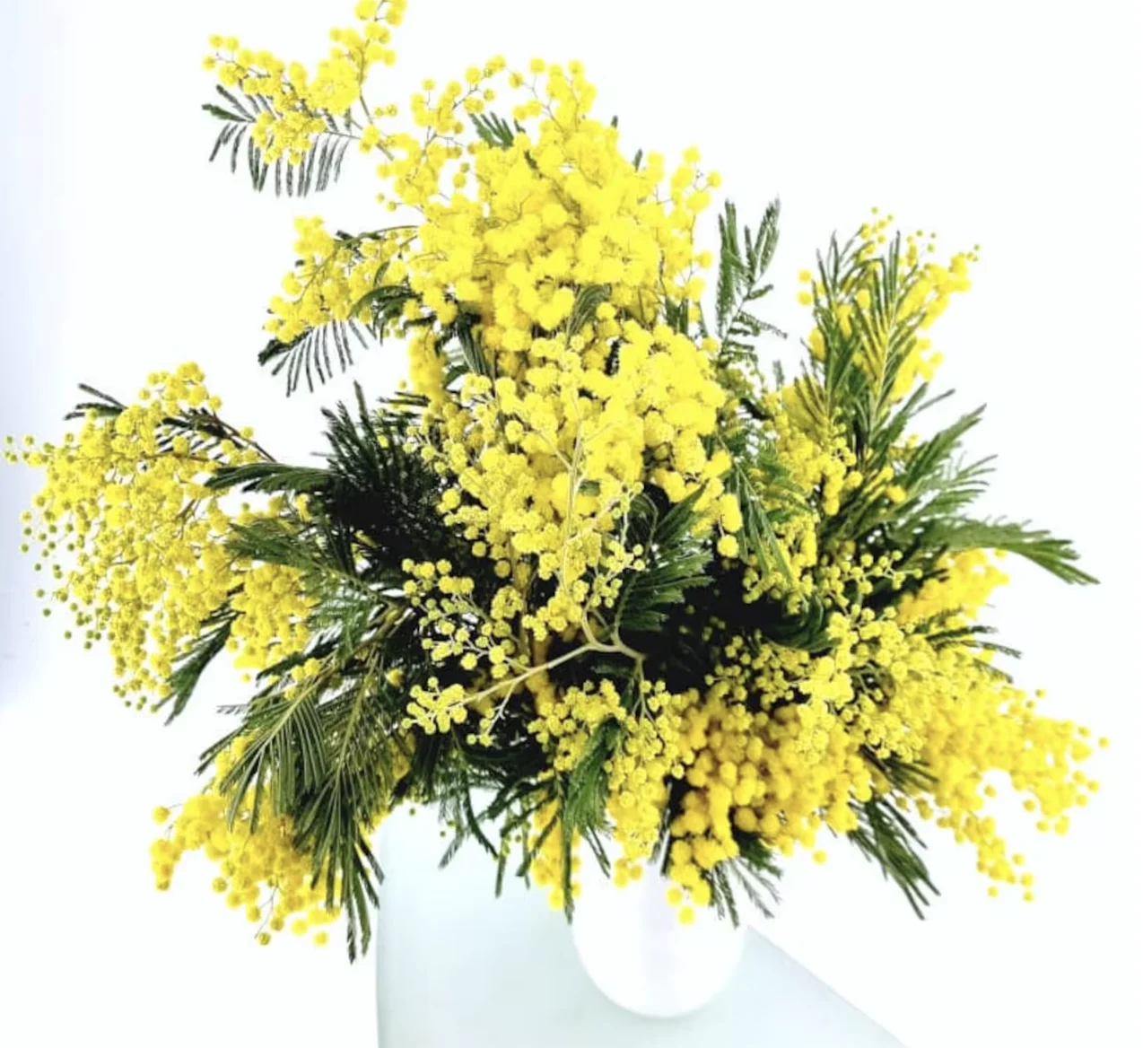 BOTTE DE MIMOSA, par Canopée Marseille, fleuriste à Marseille
