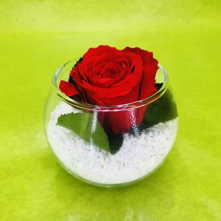Rose éternelle, par Lyly Fleurs, fleuriste à Saint-Denis-de-Pile