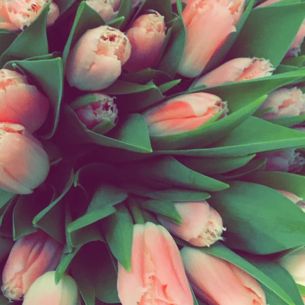 Bouquet de Tulipes, par La Vieille Branche, fleuriste à Grosbliederstroff