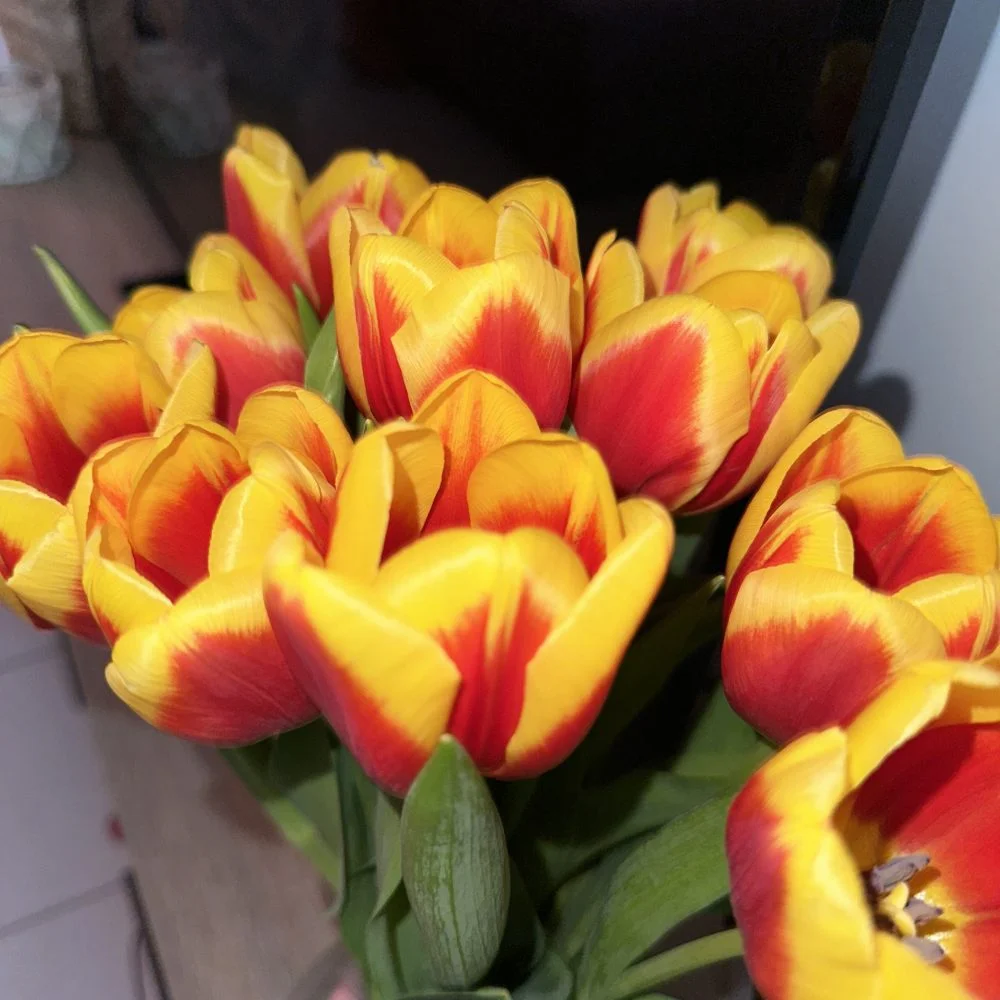 Bouquet de Tulipes, par Valentine Fleuriste, fleuriste à La Rochelle