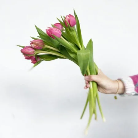 Bouquet de tulipes, par Chataigner Fleurs, fleuriste à Angers
