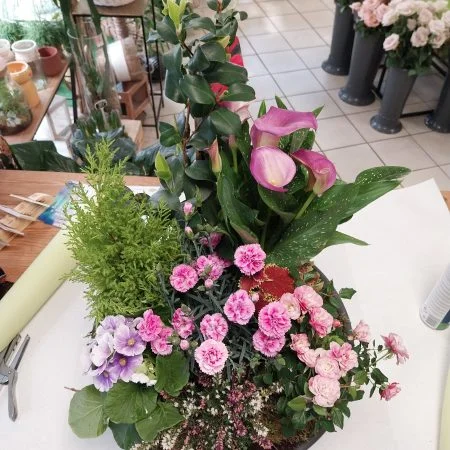 Coupe de Plantes, par Montluçon Fleurs, fleuriste à Montluçon