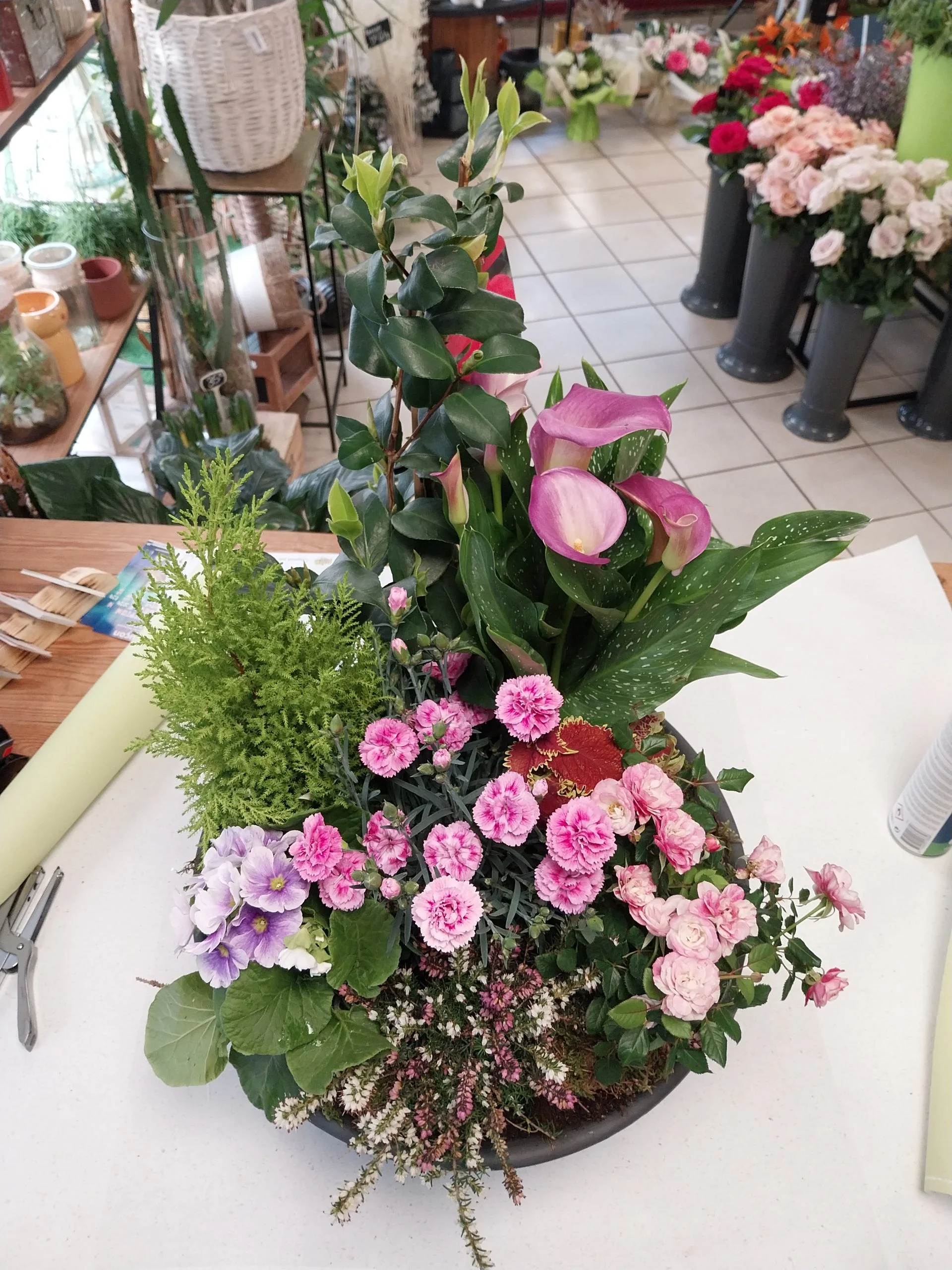 Coupe de Plantes Extérieures, par Montluçon Fleurs, fleuriste à Montluçon