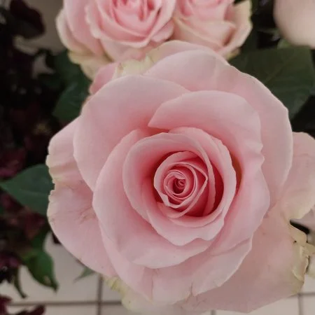 Bouquet de Roses, par Montluçon Fleurs, fleuriste à Montluçon