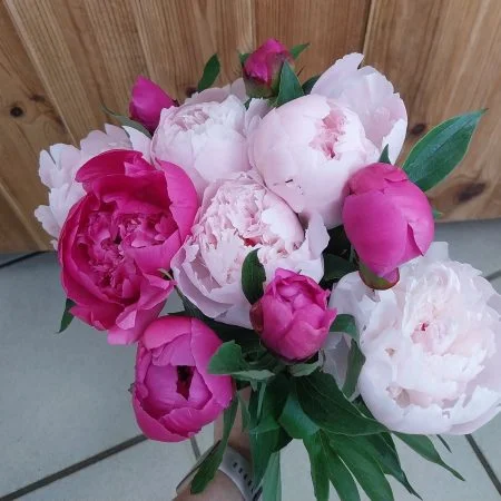 Bouquet de Pivoines, par Montluçon Fleurs, fleuriste à Montluçon