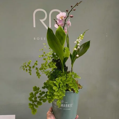 Composition Muguet racine Production locale + Plantes + Orchidée, par ROSE-BELLE, fleuriste à Nice