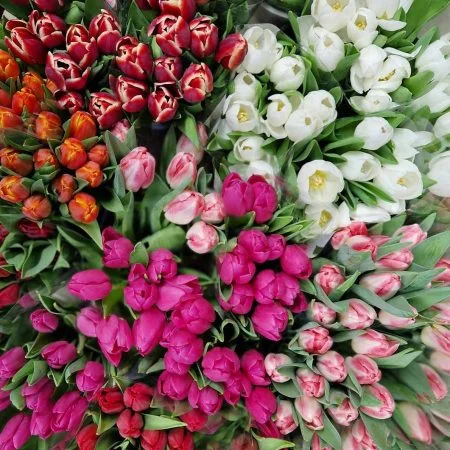 Bouquet de Tulipes, par Fleurs de Dune, fleuriste à La Teste-de-Buch