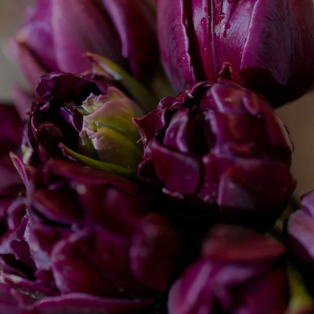 Bouquet de Tulipes, par Échoppe végétale, fleuriste à Messein
