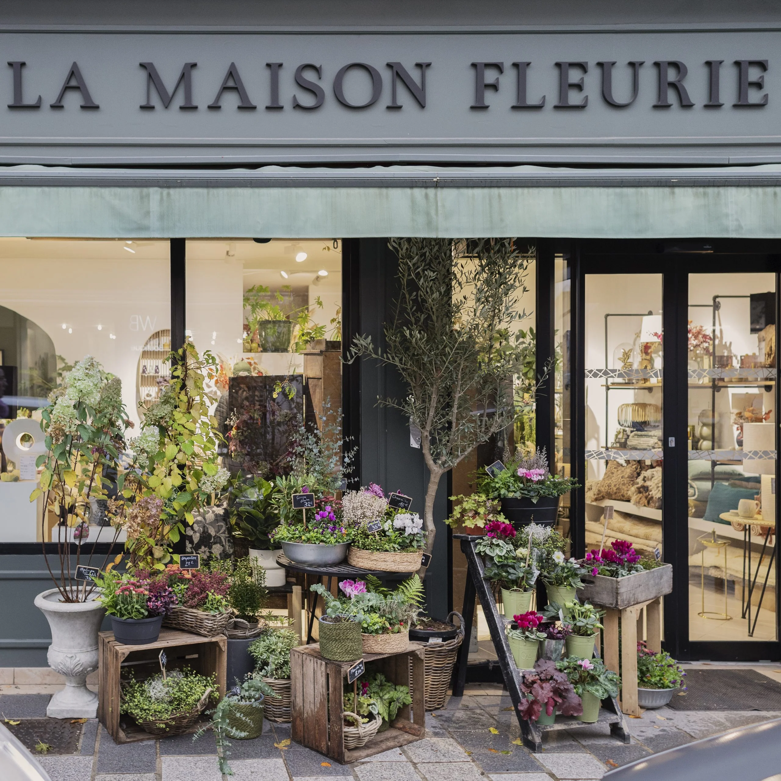 Livraison de fleurs Douai et proximité, par La Maison Fleurie, artisan fleuriste