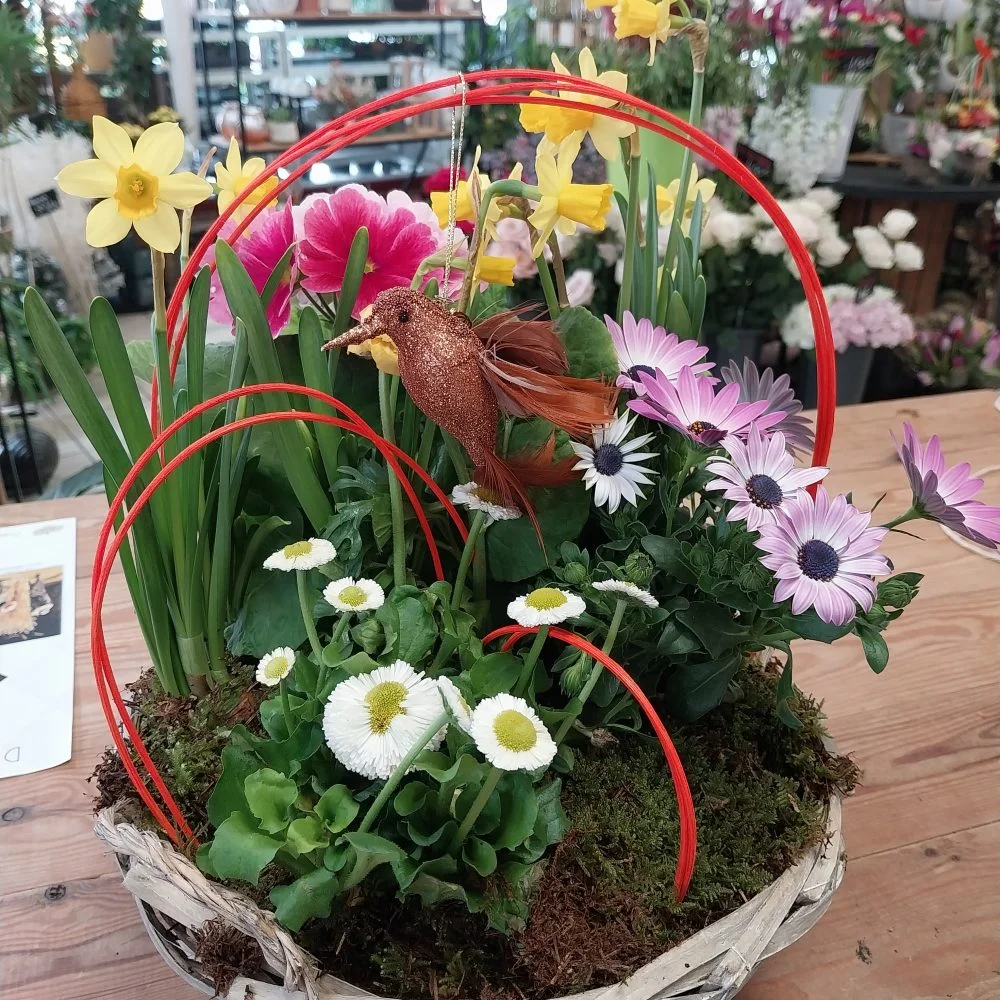 Harmonie Botanique (Plantes), par Montluçon Fleurs, fleuriste à Montluçon