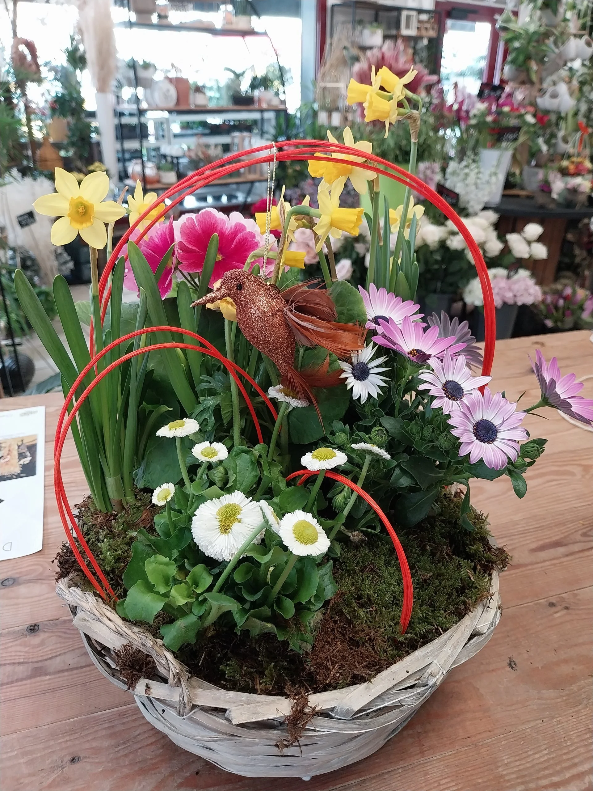 Harmonie Botanique (Plantes), par Montluçon Fleurs, fleuriste à Montluçon