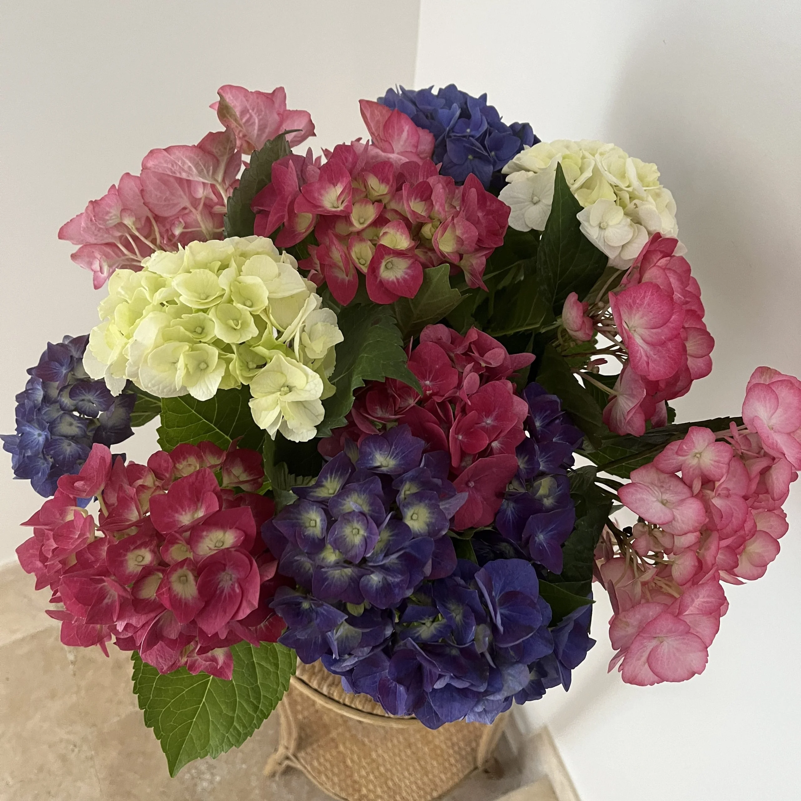 Bouquet de petits hortensias, par Hanakawa, fleuriste à Meudon