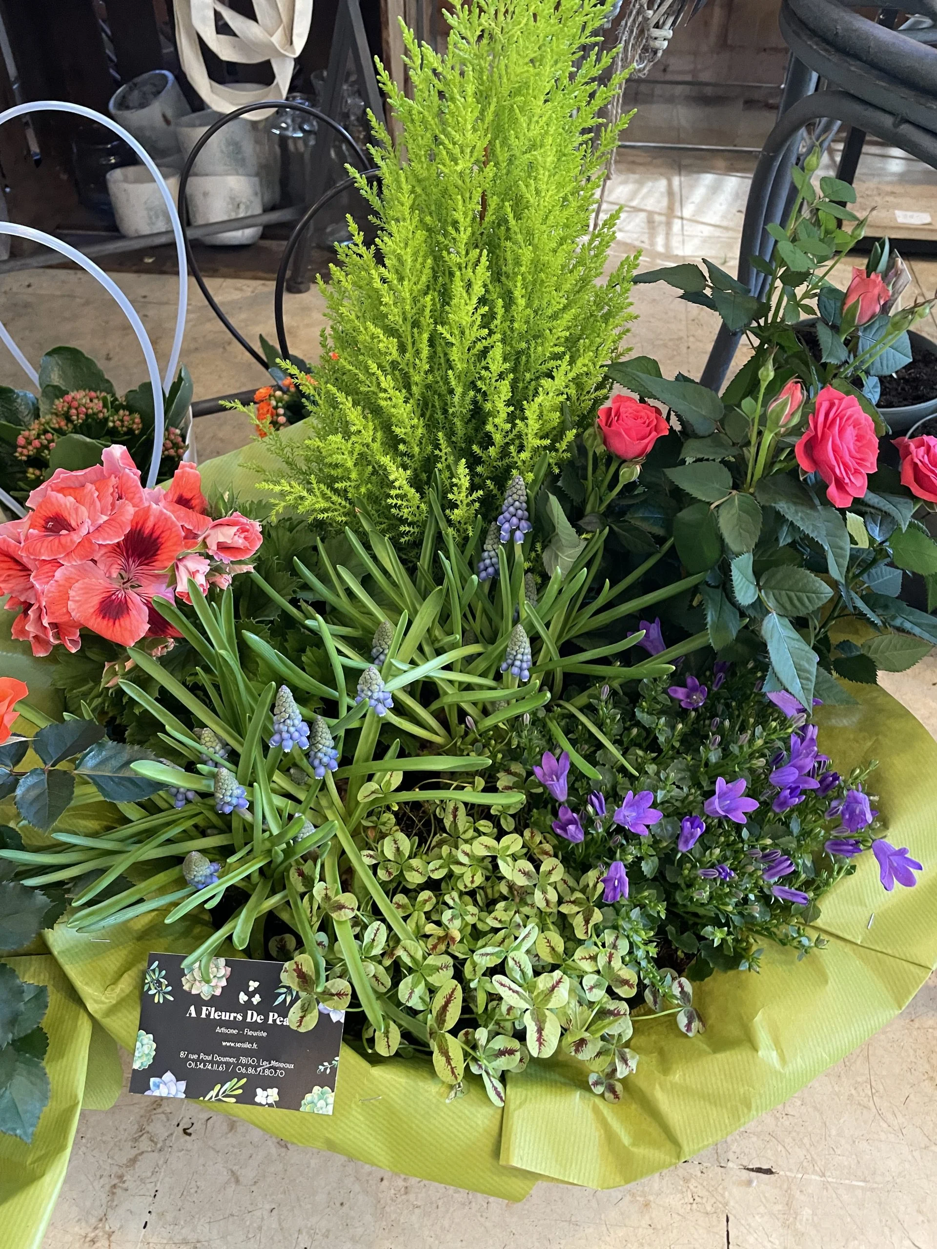 UN JOLI JARDIN POUR UN DERNIER HOMMAGE, COULEURS AU CHOIX, par A fleurs de peau, fleuriste à Les Mureaux