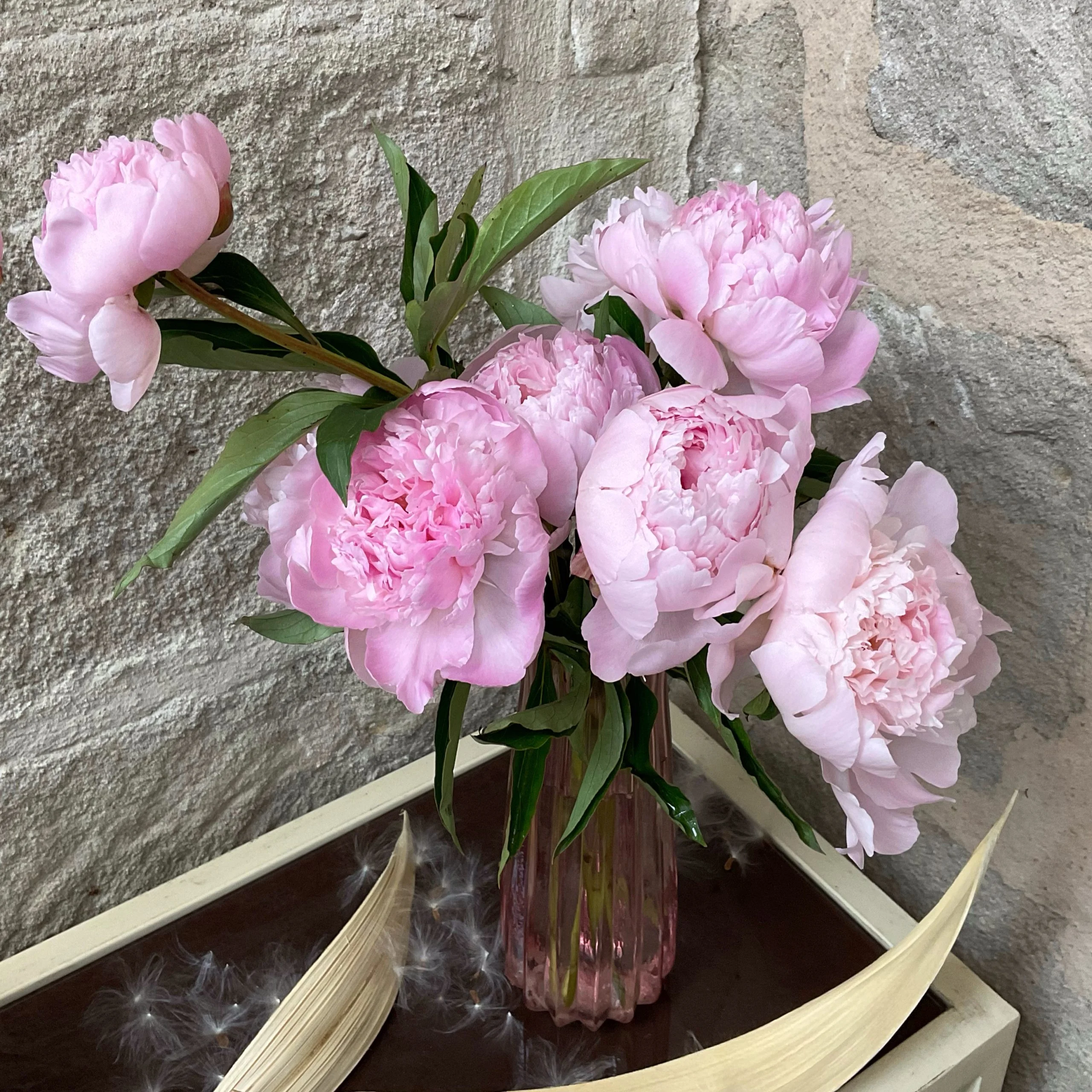 Tourbillon de pivoines, par Multiflor, fleuriste à Brive-la-Gaillarde