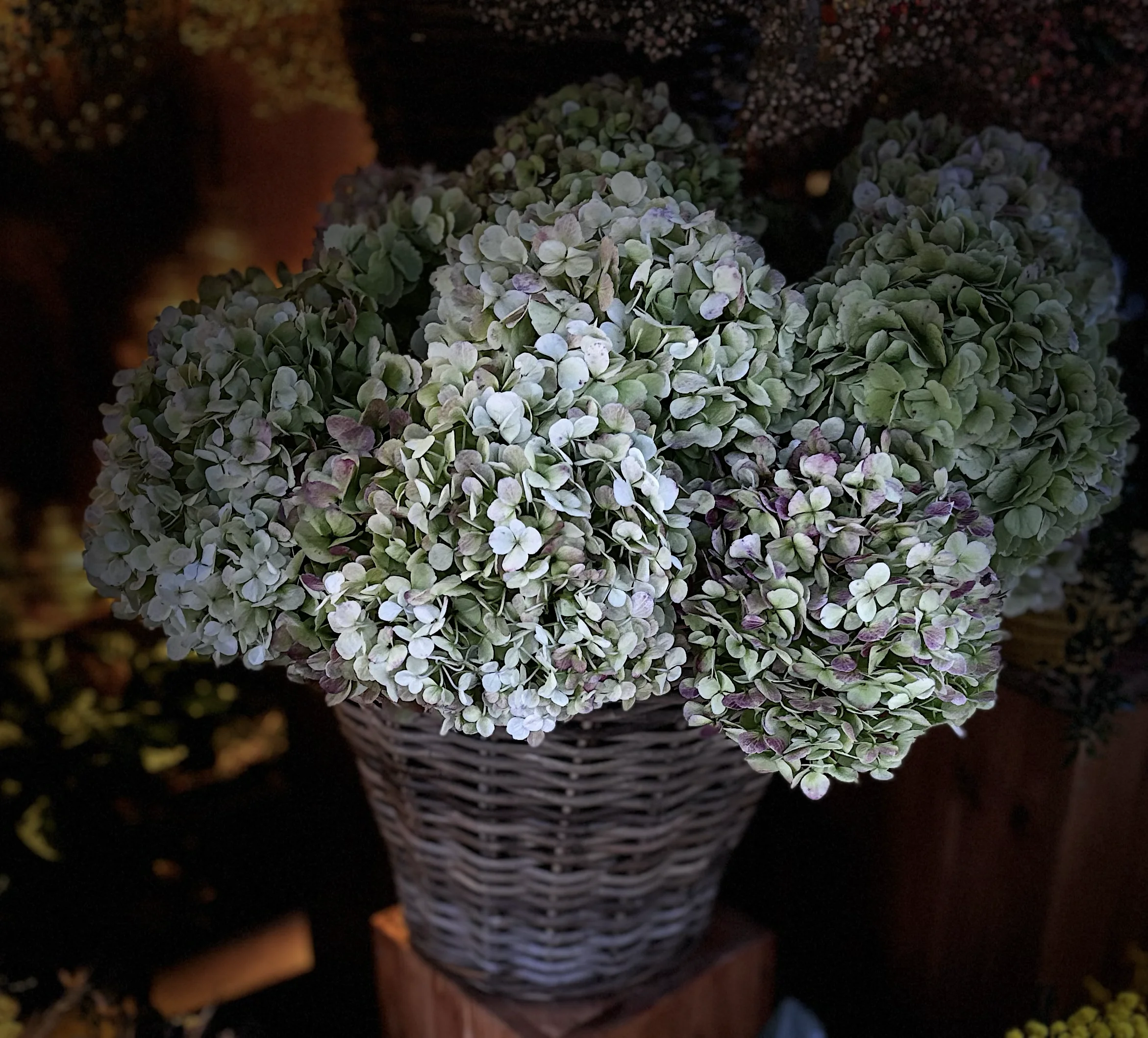 Bouquet d’hortensias, par Le Dahlia by Estelle, fleuriste à Bordeaux