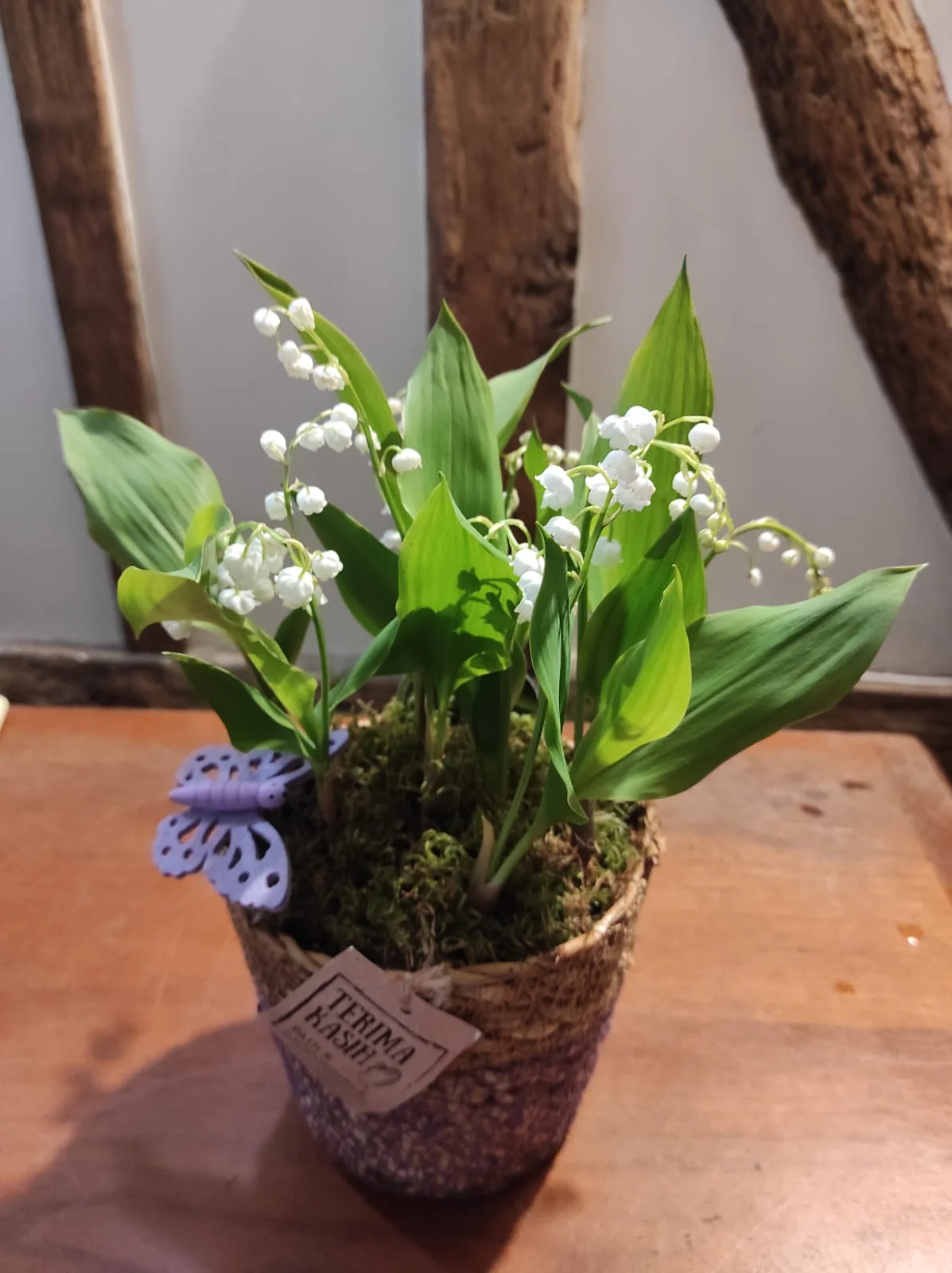 Muguet, par Les Fleurs de Lutece, fleuriste à Paris