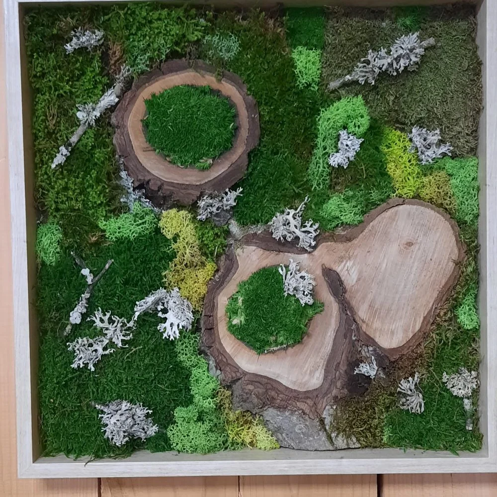 Tableau stabilisé, par A l'Aube des fleurs, fleuriste à Troyes