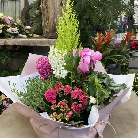 Coupe de Plante de Deuil, par Allard Fleurs, fleuriste à Antibes