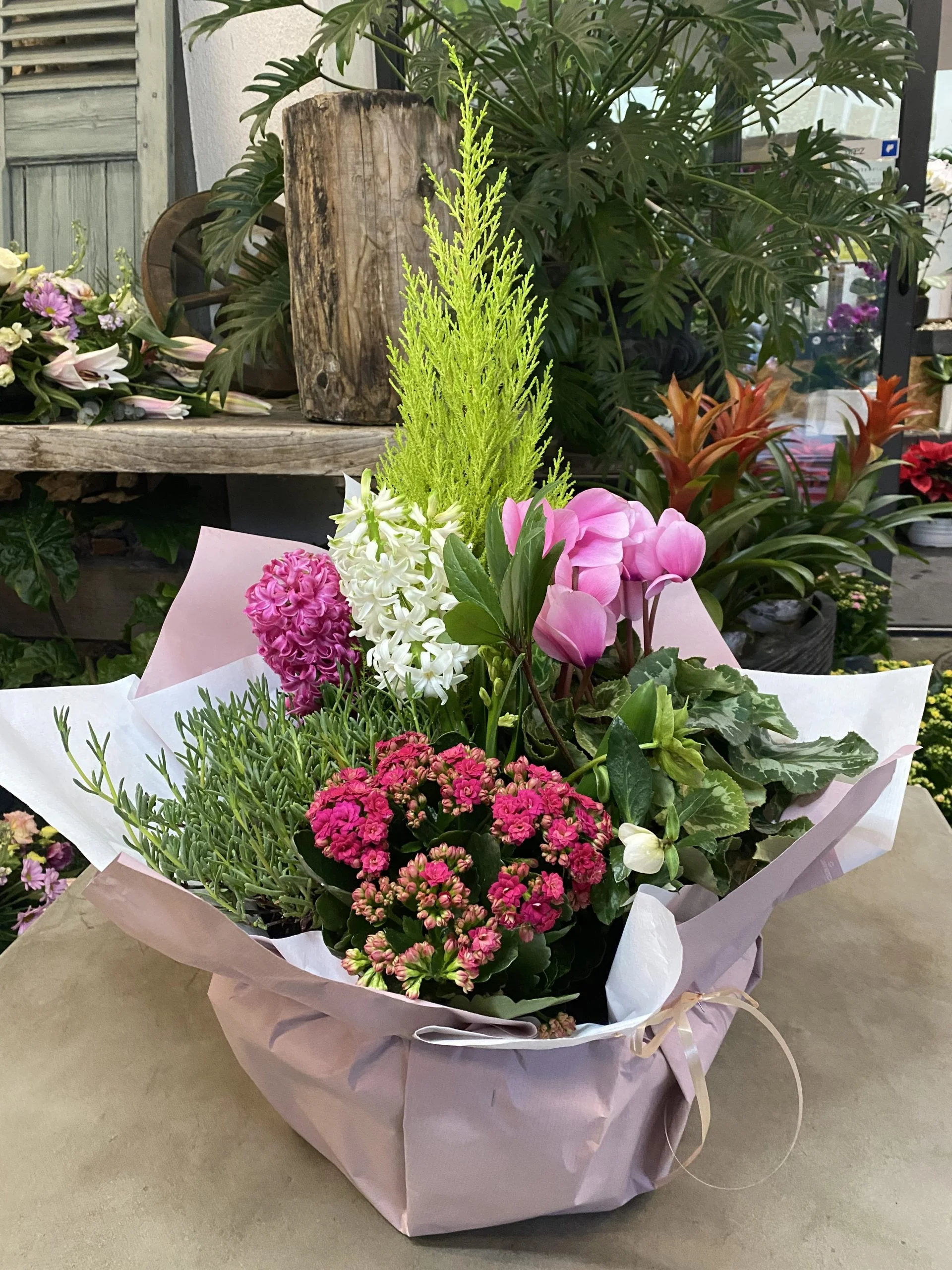 Coupe de Plante de Deuil, par Allard Fleurs, fleuriste à Antibes