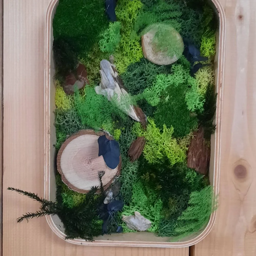 Tableau stabilisé, par A l'Aube des fleurs, fleuriste à Troyes