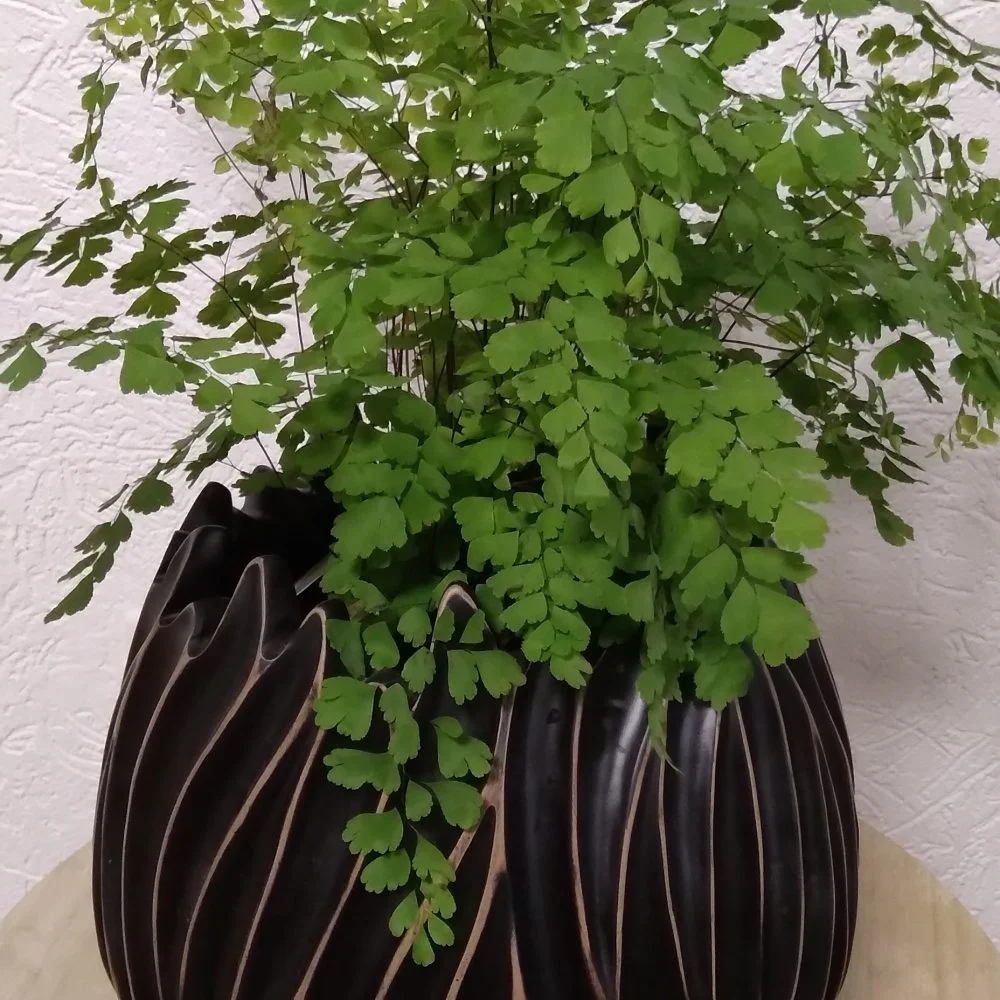 Cache Pot, par Bonheur des fleurs, fleuriste à La Montagne