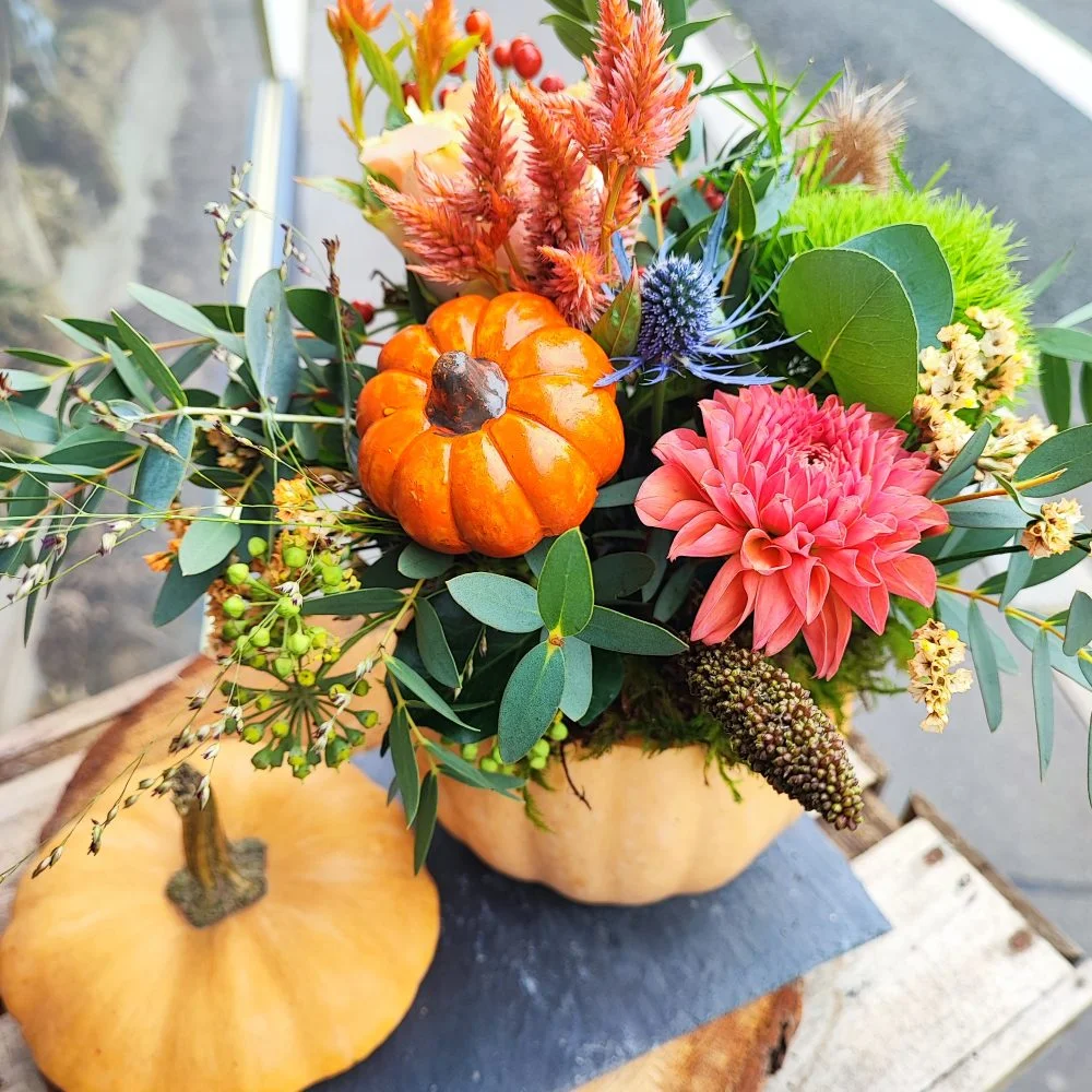 Cucurbitacée fleurie, par L'ART Ô ZOIR, fleuriste à Tours