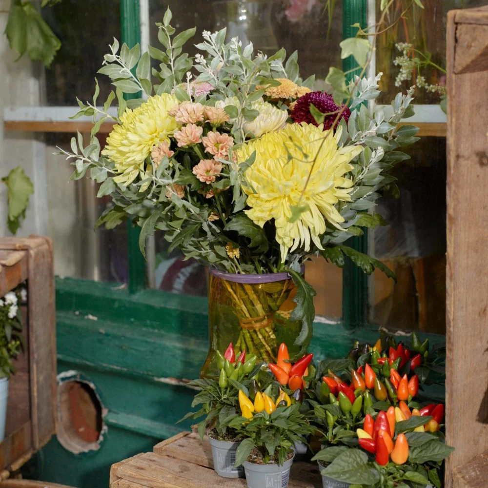 Chrysanthèmes, par L'atelier Floral Natacha, fleuriste à La Teste-de-Buch