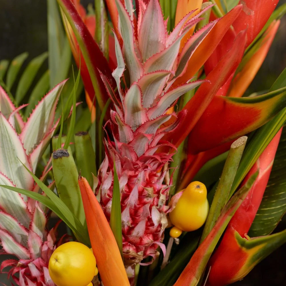 Bouquet Exotique, par Forêt Fleurie, fleuriste à Bruxelles