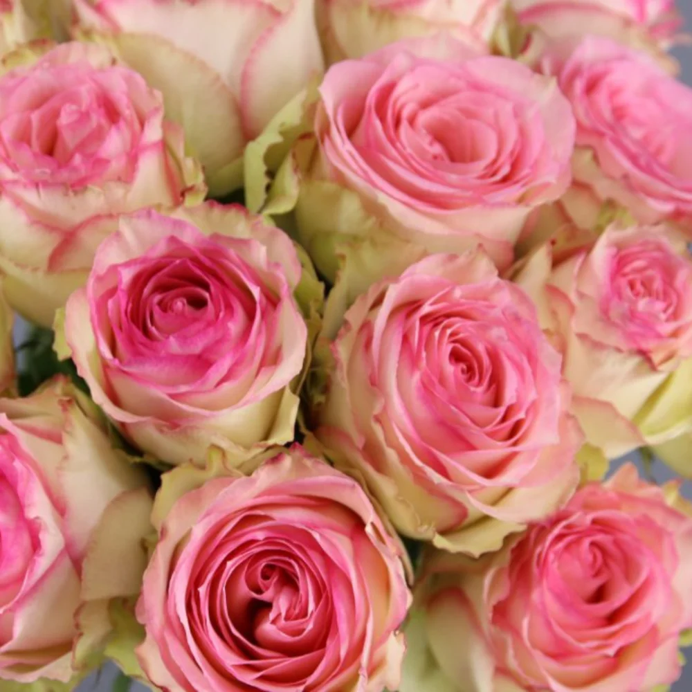 Bouquet de Roses Esperance, par Le Sourire d'une Fleur, fleuriste à ST PIERRE DES FLEURS