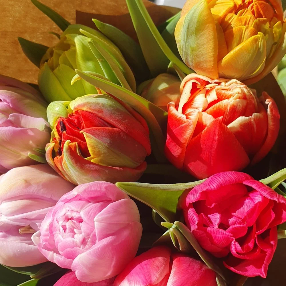 Bouquet de Tulipes, par La Garance Voyageuse, fleuriste à Lyon