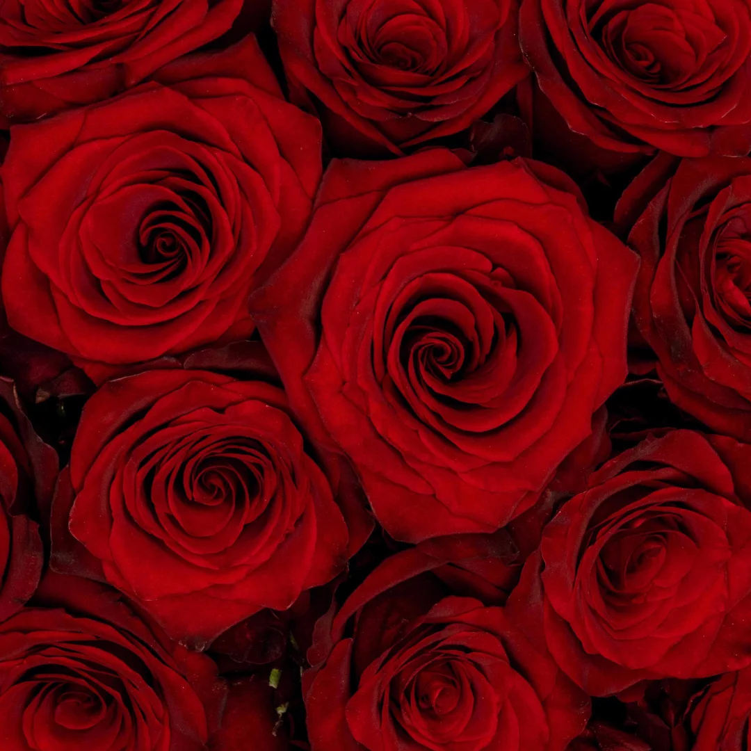 Bouquet Rose, par Des Fleurs aux Images, fleuriste à Limoges