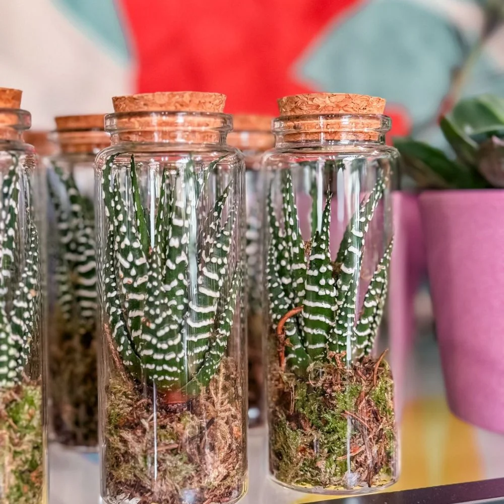 La petite fiole, par Cosmos Atelier Fleuriste, fleuriste à Franconville