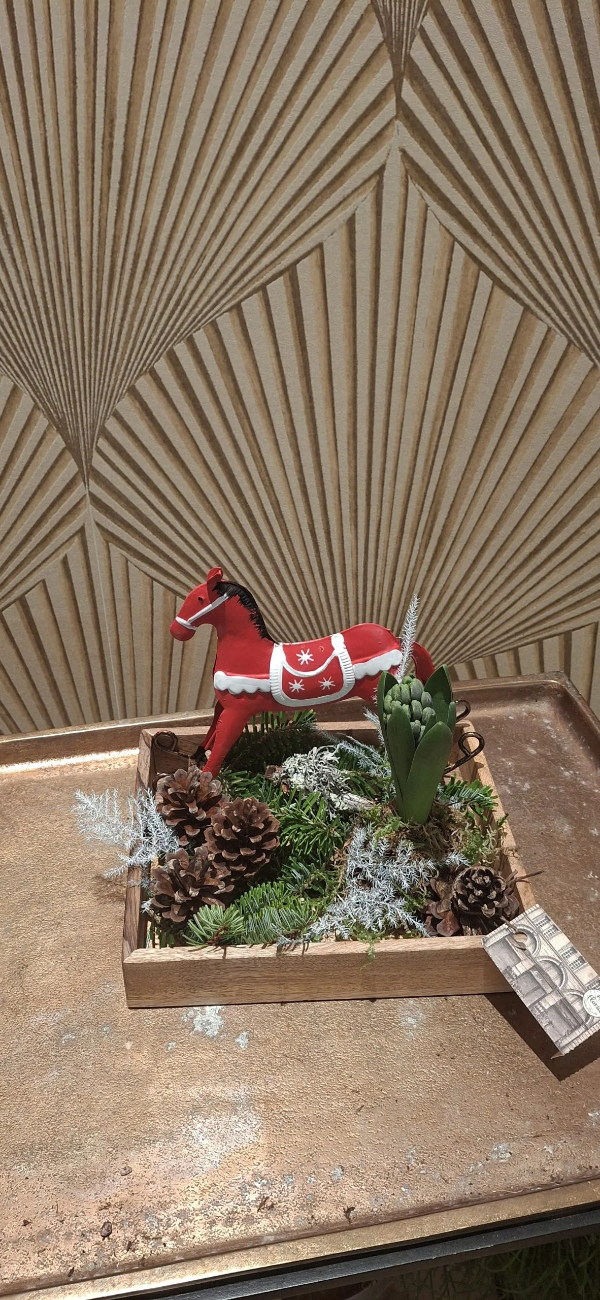 plateau noël jacinthe, par Art Floral Le Puy en Velay, fleuriste à Le Puy-en-Velay