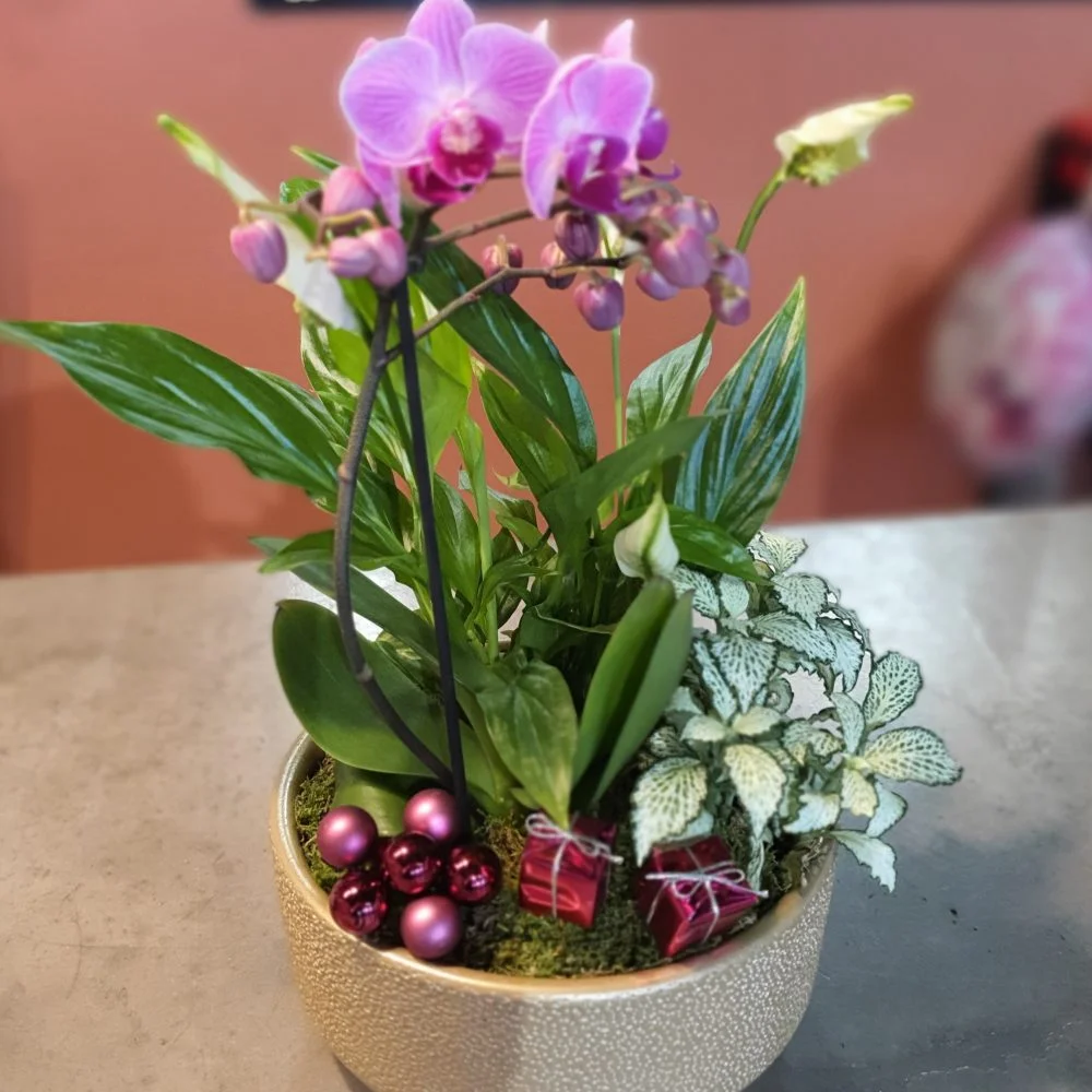 composition avec orchidée, par Arum Fleurs, fleuriste à Sevran