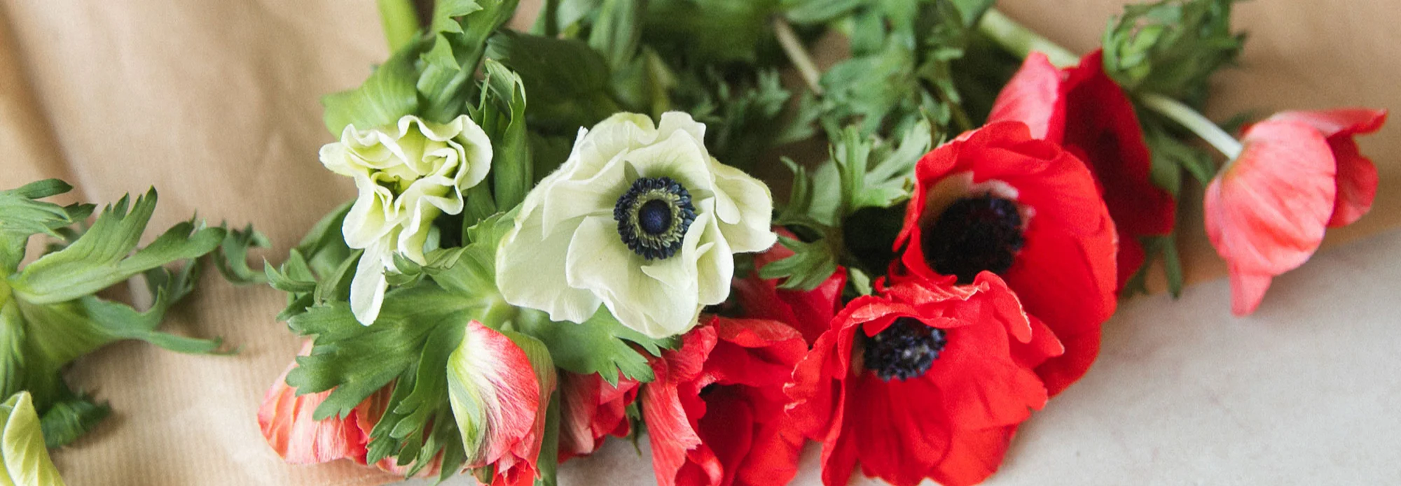 background bouquet de fleur