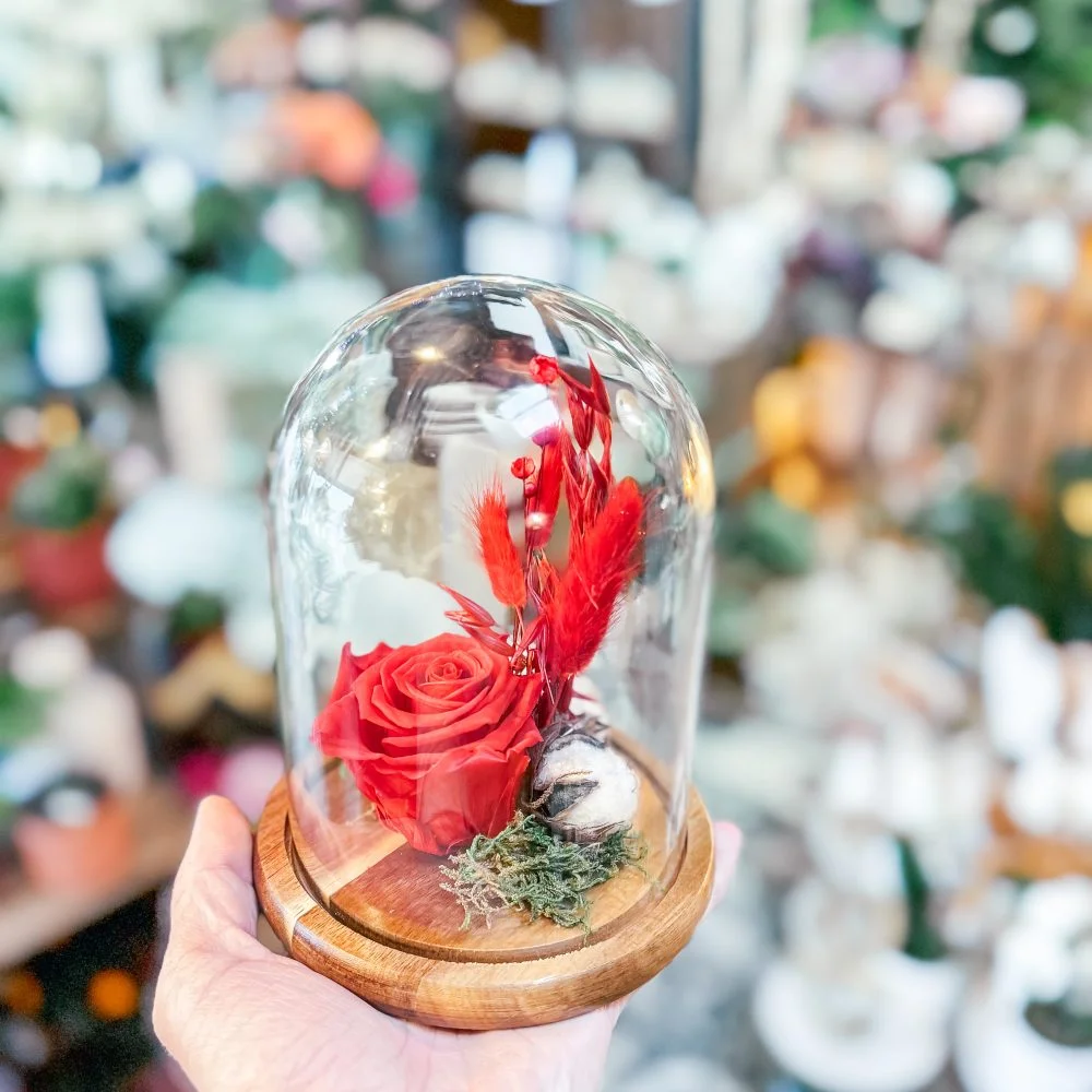 Rose éternelle, par Rêve d'orchidée, fleuriste à Quimper