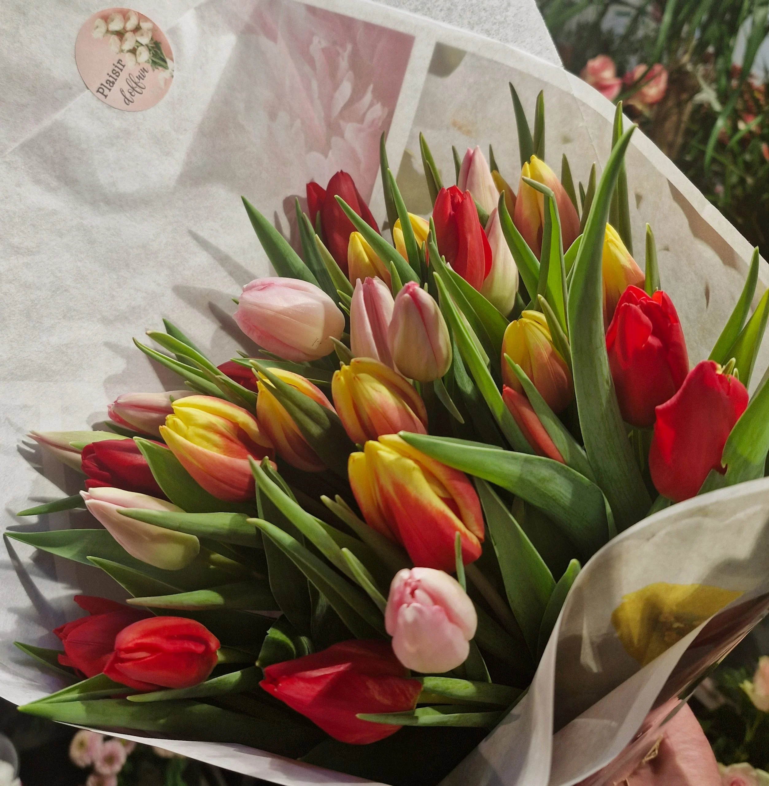 Bouquet de Tulipes, par Cannelle Fleurs, fleuriste à Bégard