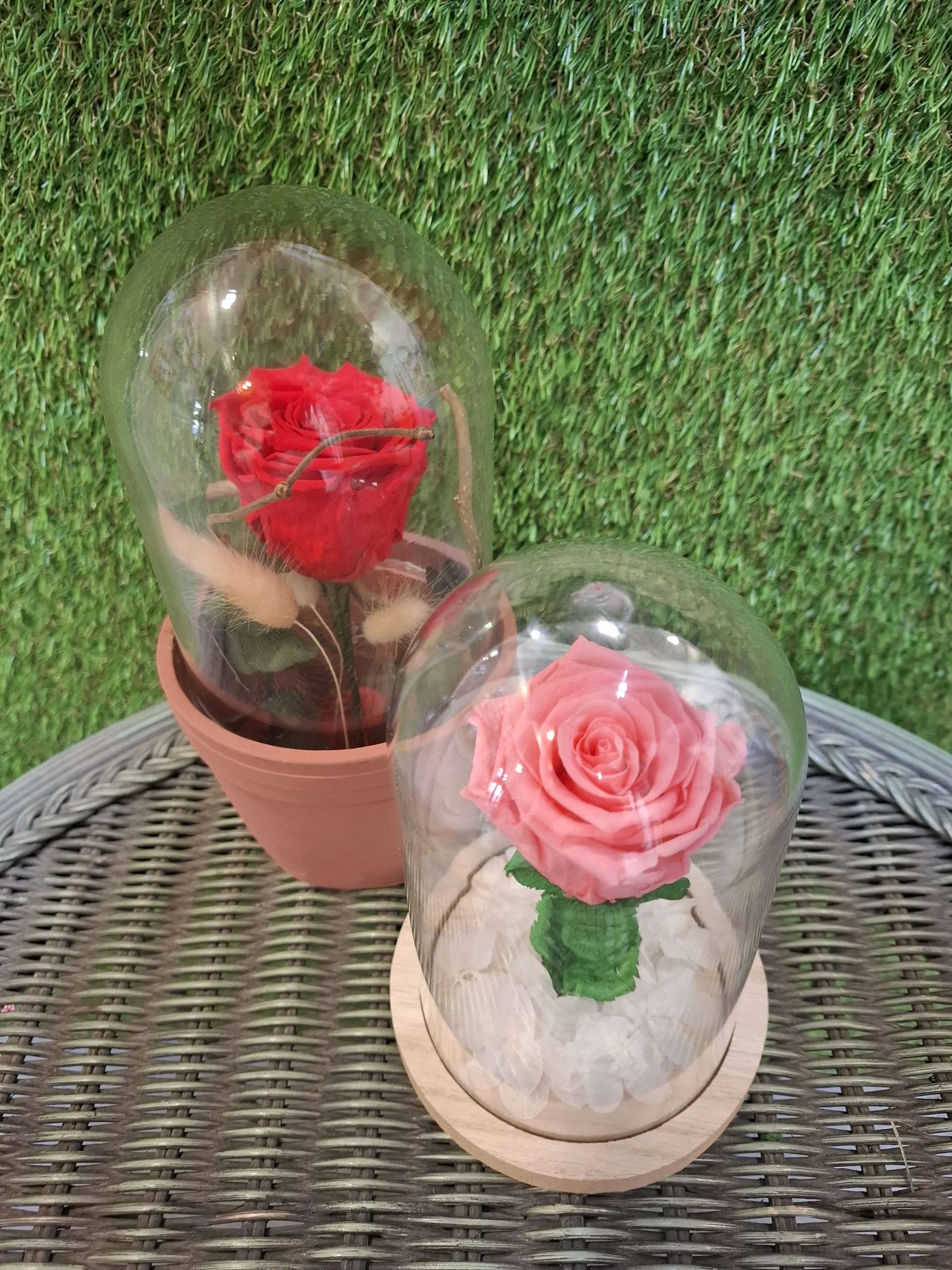 Rose eternelle sous cloche, par MISS JANY FLEURS, fleuriste à Roubaix