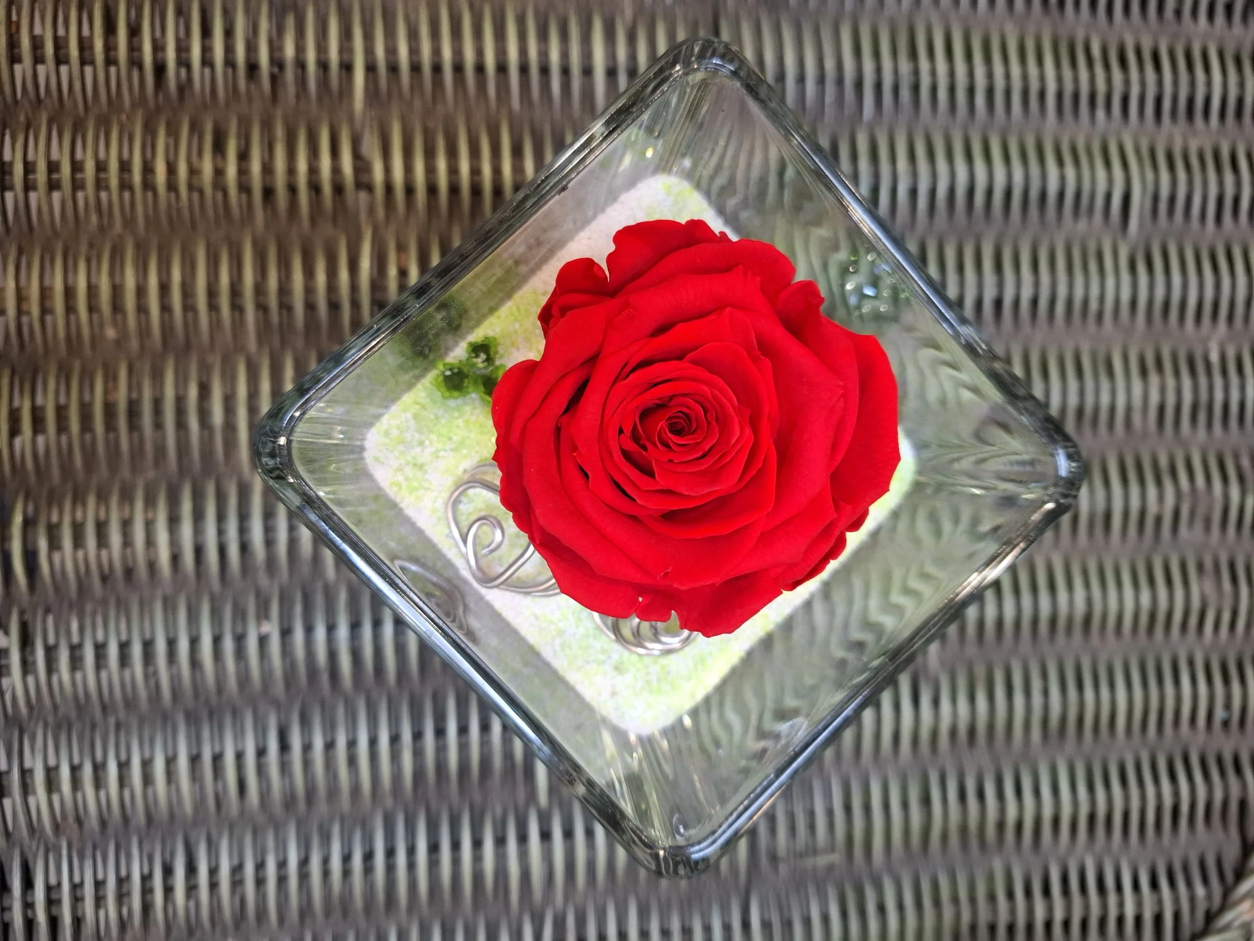 Rose éternelle, par MISS JANY FLEURS, fleuriste à Roubaix