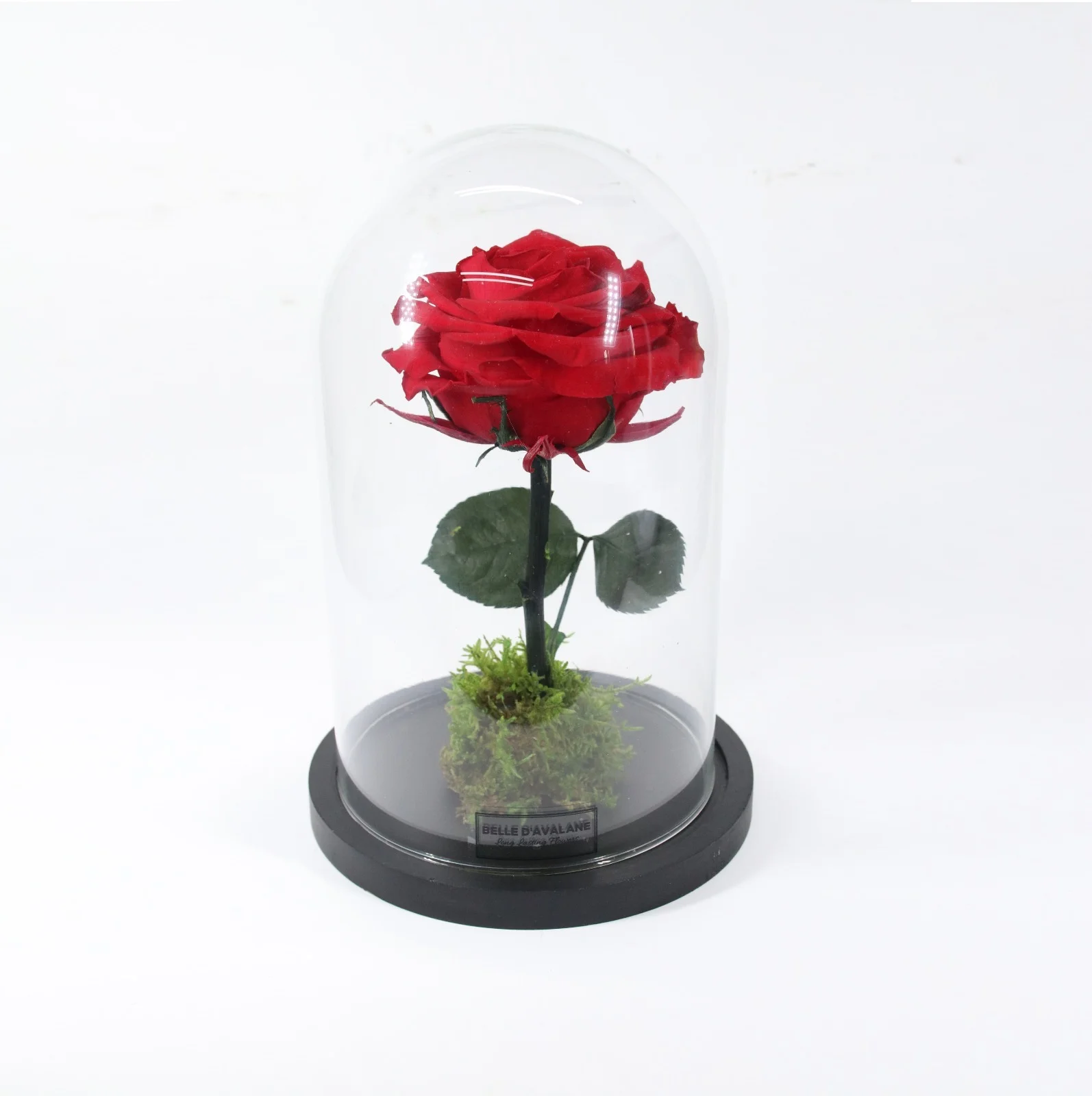Valentine, par Flowers 7 Days, fleuriste à Antwerpen