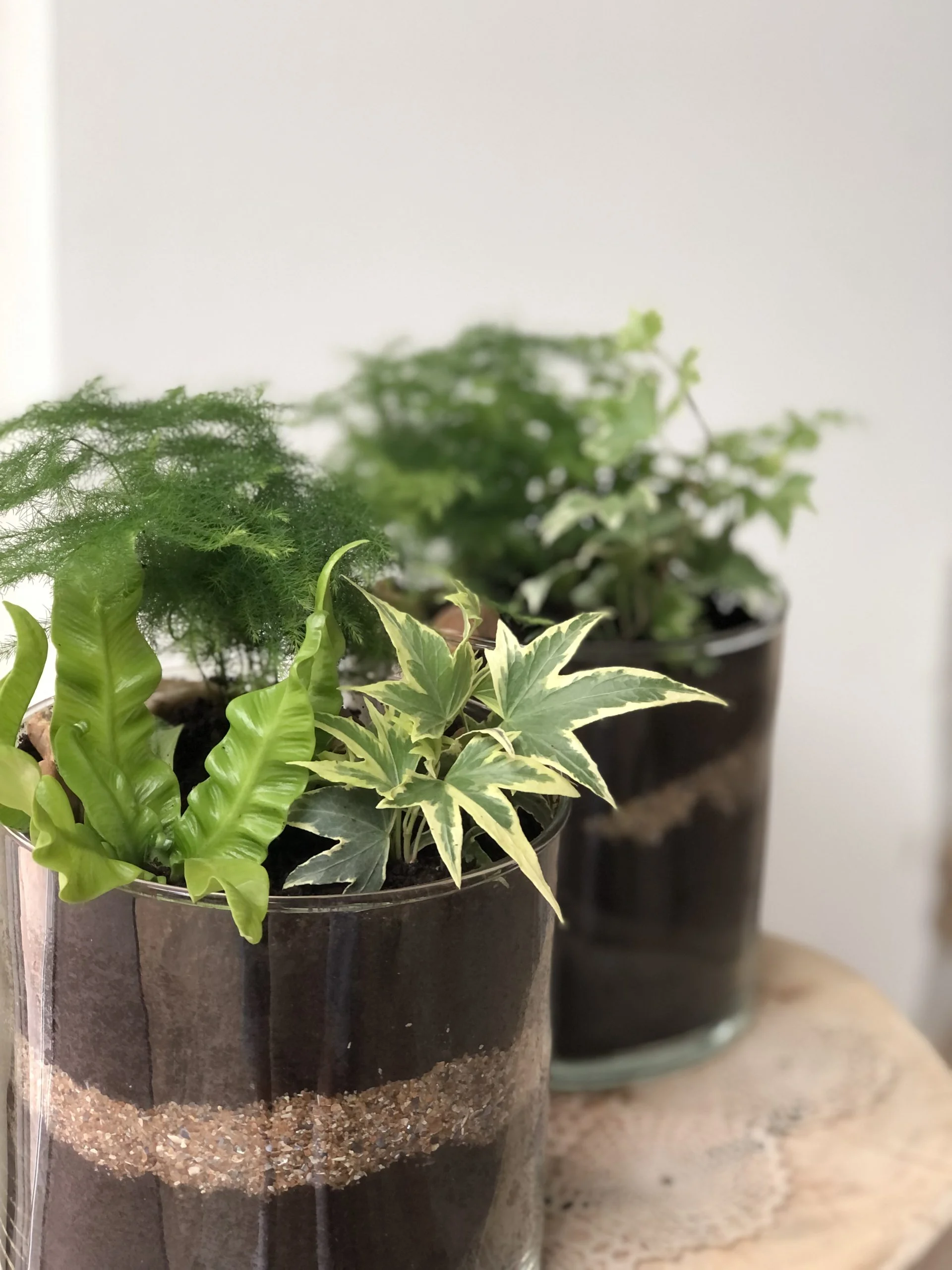 Terrarium ouvert, par Eglantine Fleuriste, fleuriste à Bouguenais