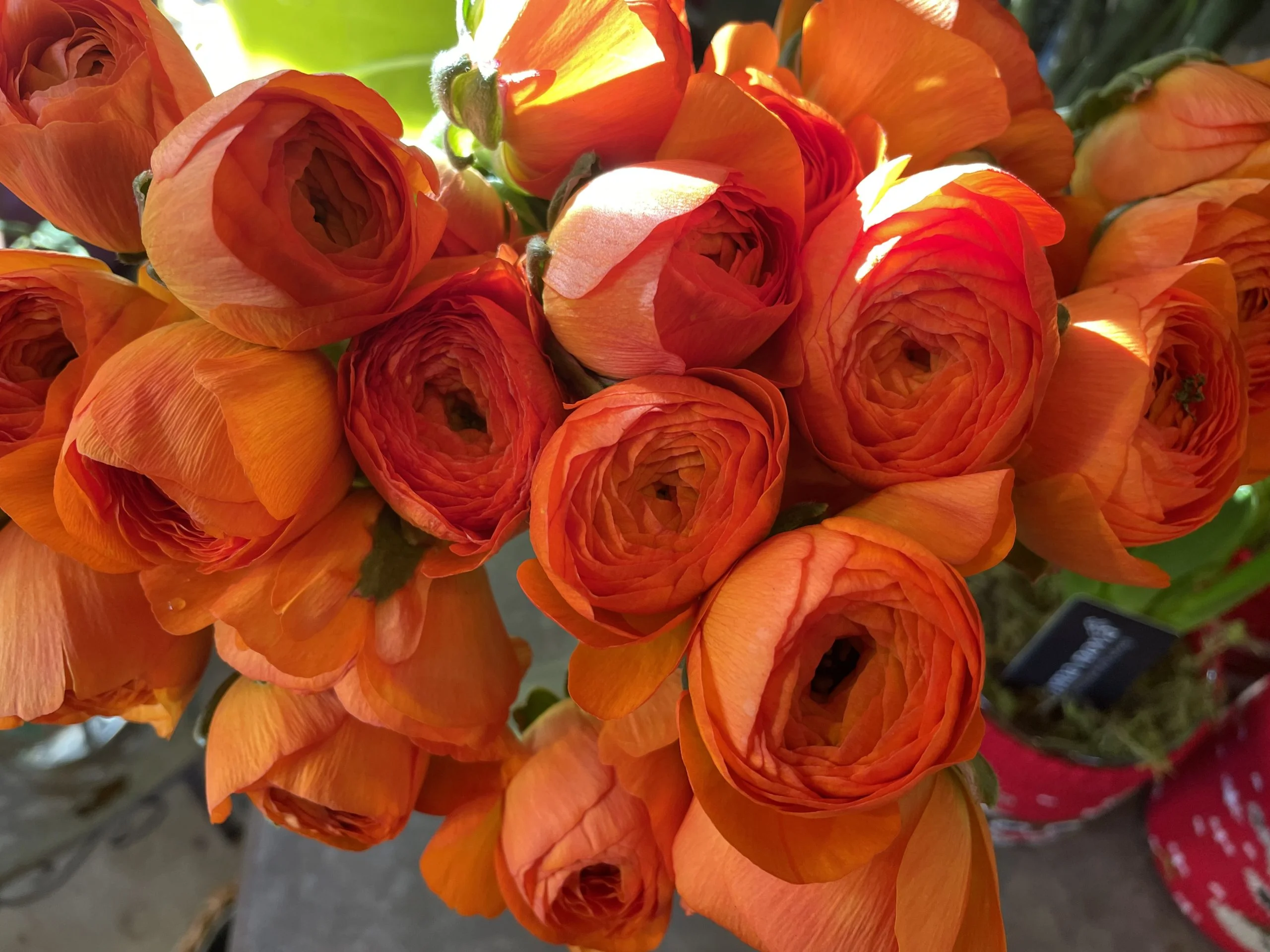 Bouquet de Renoncules, par A fleurs de peau, fleuriste à Les Mureaux