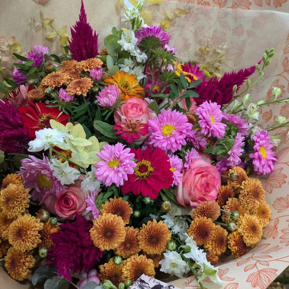 Pléioné, par Empreinte de Violettes, fleuriste à Six-Fours-les-Plages