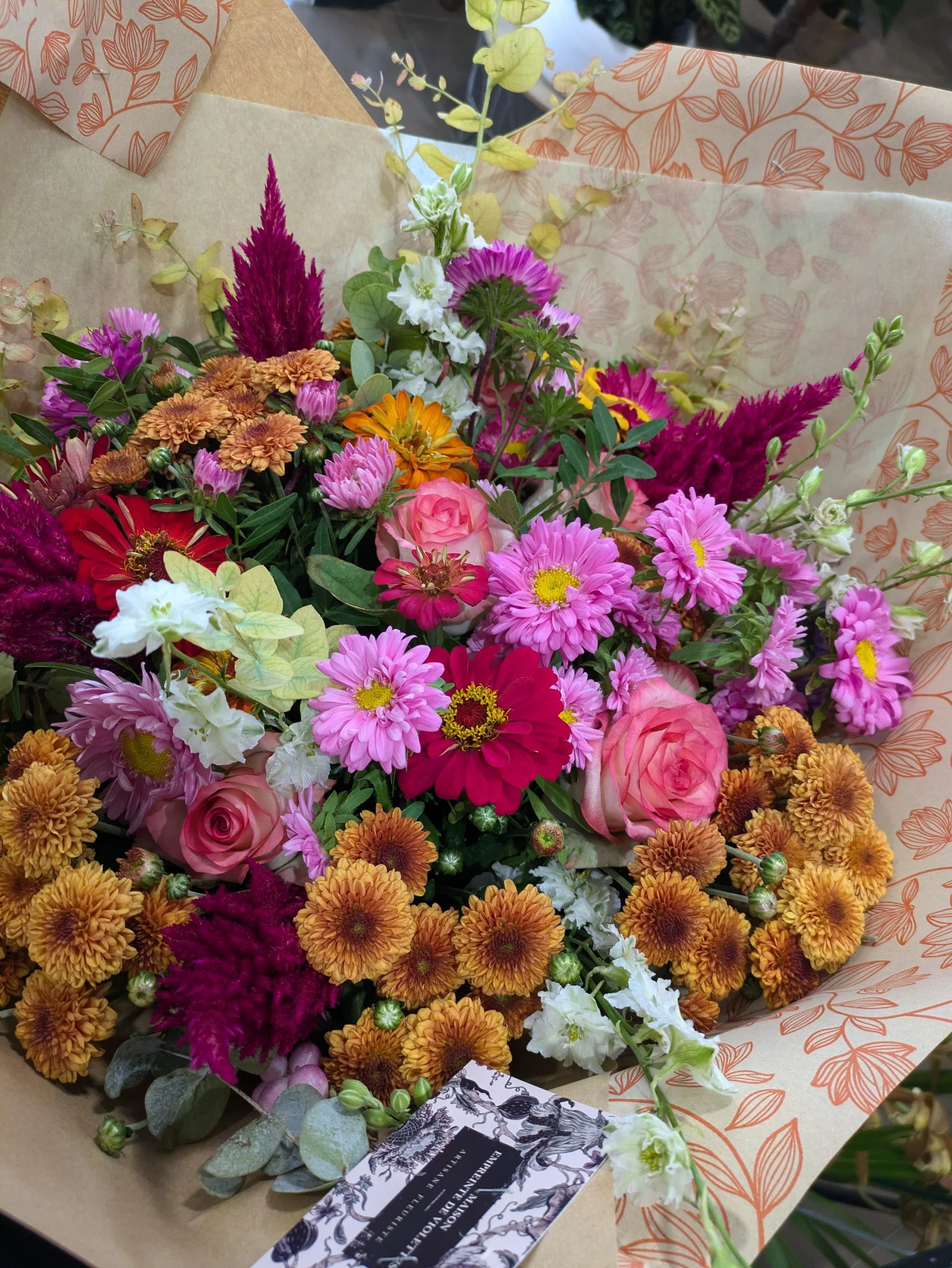 Pléioné, par Empreinte de Violettes, fleuriste à Six-Fours-les-Plages